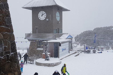 Mt Buller Day Trip From Melbourne - Tourism Brisbane 0