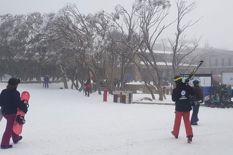 Mt Buller Day Trip From Melbourne - Tourism Brisbane 1