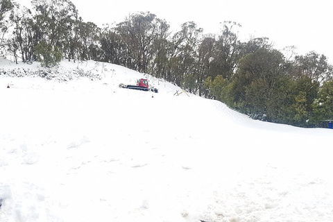 Mt Buller Day Trip From Melbourne - Tourism Brisbane 2
