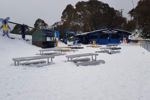 Mt Buller Day Trip From Melbourne - Tourism Brisbane 5