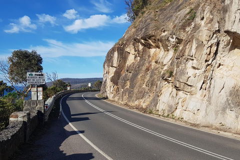 2 Day Great Ocean Road Tour And Platypus Paddle - Tourism Brisbane 0