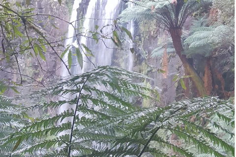 2 Day Great Ocean Road Tour And Platypus Paddle - Tourism Brisbane 1