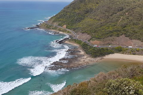2 Day Great Ocean Road Tour And Platypus Paddle - Tourism Brisbane 2