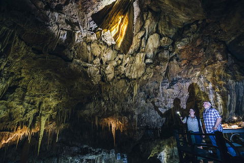 Ngilgi Cave Semi-guided Tour - Tourism Brisbane 0