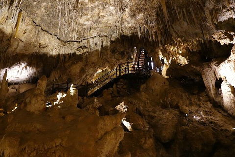 Ngilgi Cave Semi-guided Tour - Tourism Brisbane 2
