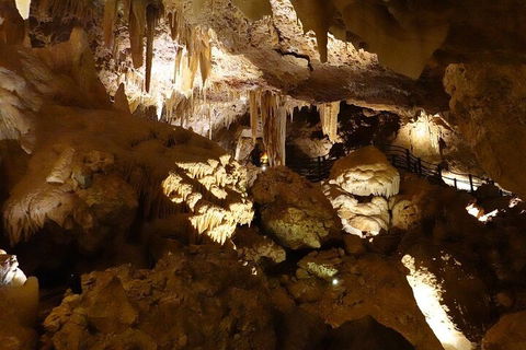 Ngilgi Cave Semi-guided Tour - Tourism Brisbane 3