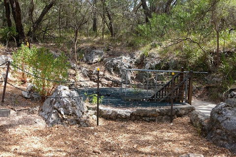 Ngilgi Cave Semi-guided Tour - Tourism Brisbane 4