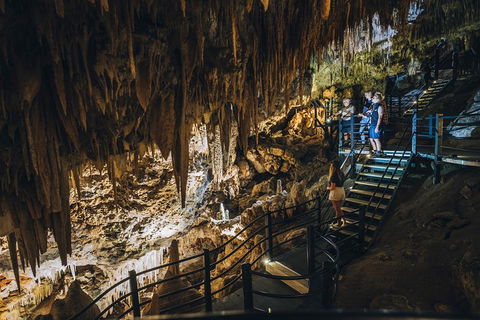 Ngilgi Cave Semi-guided Tour - Tourism Brisbane 5