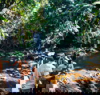 Aquaduck  Your choice of Gold Coast Rainforest Tour - Brisbane Tourism