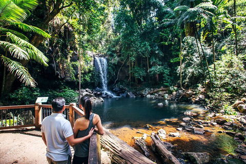 Aquaduck & Your Choice Of Gold Coast Rainforest Tour - Tourism Brisbane 0