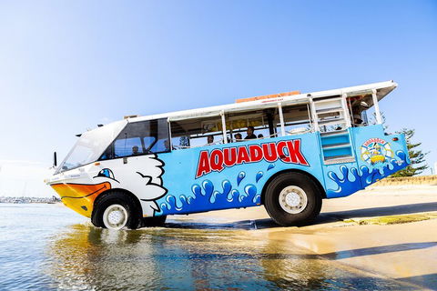 Aquaduck & Your Choice Of Gold Coast Rainforest Tour - Tourism Brisbane 3
