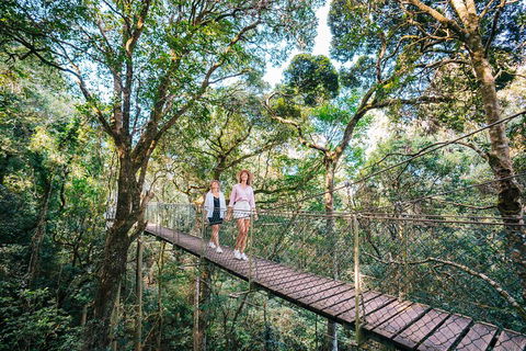 Aquaduck & Your Choice Of Gold Coast Rainforest Tour - Tourism Brisbane 4