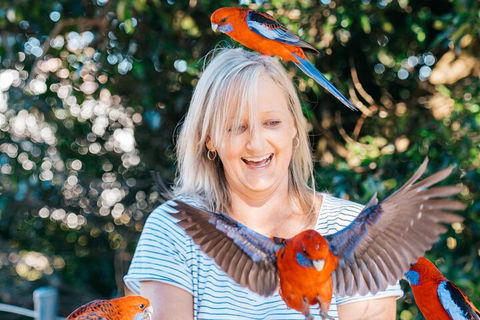 Aquaduck & Your Choice Of Gold Coast Rainforest Tour - Tourism Brisbane 5