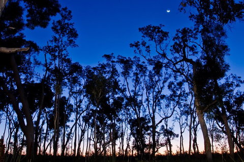 Small-Group Kangaroo Island 4WD Night Tour - Brisbane Tourism 2