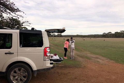 Kangaroo Island 4WD Tour - Flinders Chase - Tourism Brisbane 3