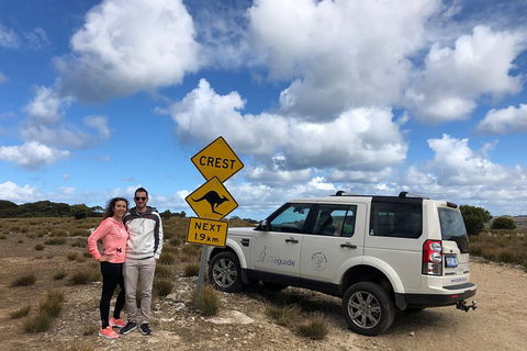 Kangaroo Island 4WD Tour - Best Of KI - Tourism Brisbane 5