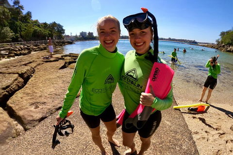 Manly Snorkel Trip And Nature Walk With Local Guide - Tourism Brisbane 1
