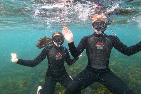 Manly Snorkel Trip And Nature Walk With Local Guide - Tourism Brisbane 3