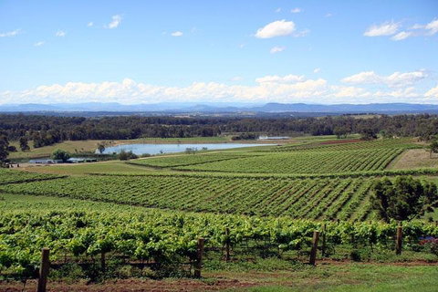 Private Hunter Valley Wine-Tasting Day Tour From Sydney - Brisbane Tourism 0