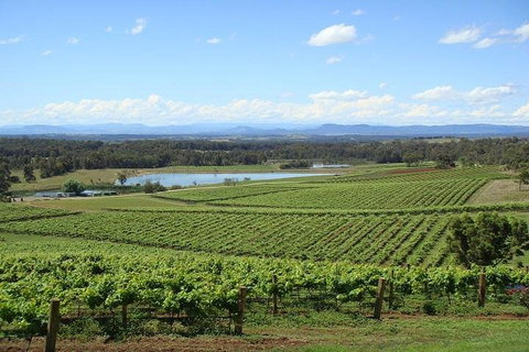 Private Hunter Valley Wine-Tasting Day Tour From Sydney - Brisbane Tourism 1