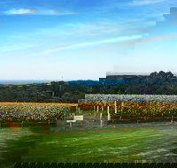 Yarra Valley Private Car Winery Tour And Chocolate.1-7 Passengers One Car Price - Tourism Brisbane