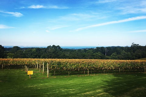 Yarra Valley Private Car Winery Tour And Chocolate.1-7 Passengers One Car Price - Tourism Brisbane 0