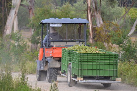 Yarra Valley Private Car Winery Tour And Chocolate.1-7 Passengers One Car Price - Tourism Brisbane 1