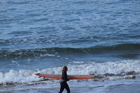 Private Day Tour Of Phillip Island Wildlife And Brighton Beach - Tourism Brisbane 0