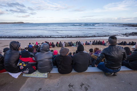 Full-Day Bus Tour Phillip Island Wildlife And Brighton Beach - Tourism Brisbane 1