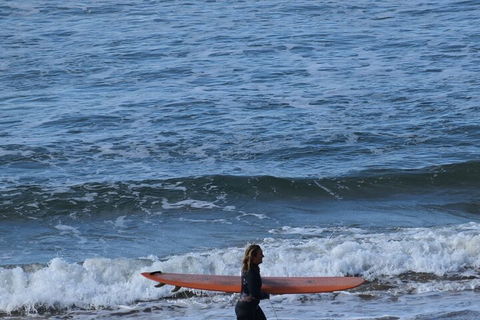 Full-Day Bus Tour Phillip Island Wildlife And Brighton Beach - Tourism Brisbane 3