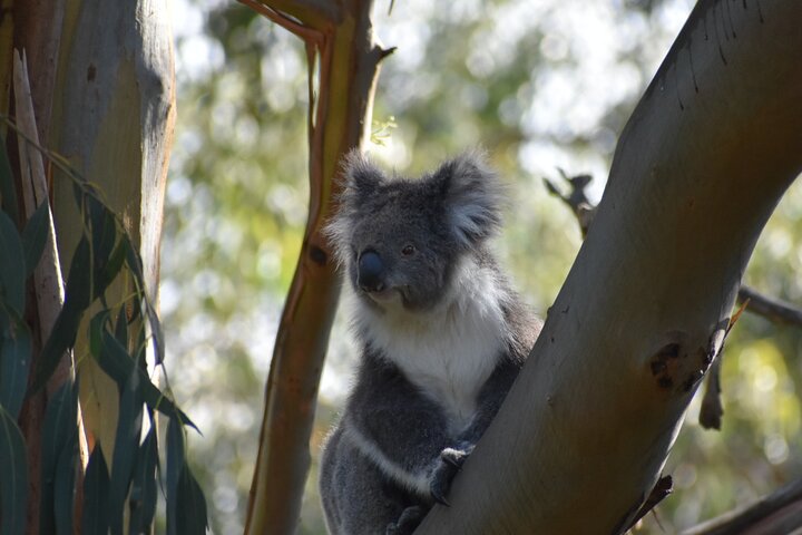  Tourism Brisbane
