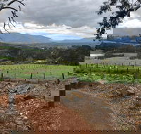 Yarra Valley Wine Tour inc lunch with a glass of wine tastings and chocolate - Tourism Brisbane