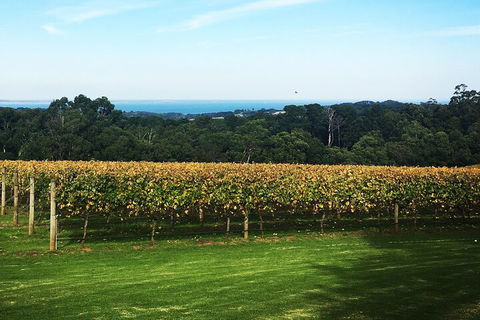 Yarra Valley Wine Tour Inc Lunch With A Glass Of Wine, Tastings And Chocolate - Tourism Brisbane 2
