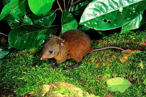 3-Day Small-Group Tour Of North Queensland With Pick Up - Tourism Brisbane 0