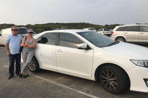 Full-Day Private Australian Wildlife Tour Of Phillip Island - Tourism Brisbane 1