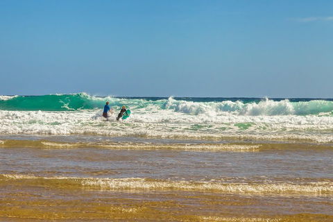 Full-Day Private Australian Wildlife Tour Of Phillip Island - Tourism Brisbane 3