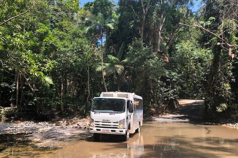 Cairns To Cooktown 4WD Tour - Tourism Brisbane 5