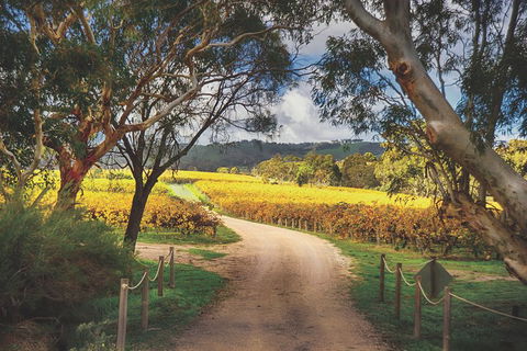 McLaren Vale Winery Small Group Tour With Wine Tasting And Lunch - Tourism Brisbane 1