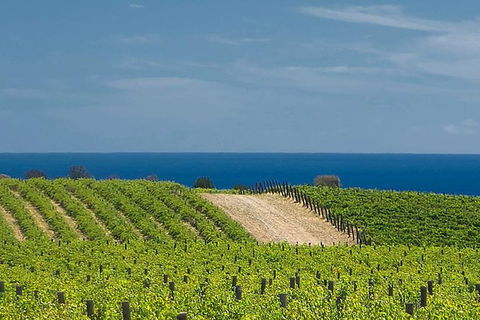 McLaren Vale Winery Small Group Tour With Wine Tasting And Lunch - Tourism Brisbane 4