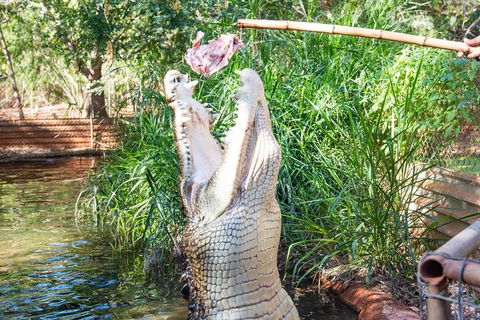 3 In 1 Tour: Matsoâ€™s Brewery, Broome Museum & Malcolm Douglas Crocodile Park - Tourism Brisbane 3