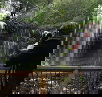 Mt Field and Styx Valley Photography Tour - Tourism Brisbane