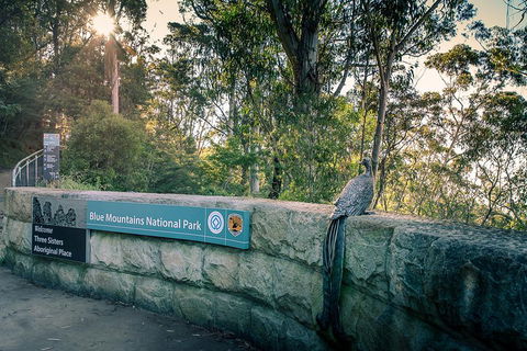 Ultimate Blue Mountains Waterfalls, Walks & Sunset PRIVATE Tour - Brisbane Tourism 3