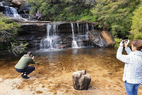Blue Mountains Small Group Tour Enjoy A Sleep In, Waterfalls, Sunset & Dinner - Brisbane Tourism 2