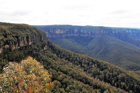 Blue Mountains - Brisbane Tourism 3