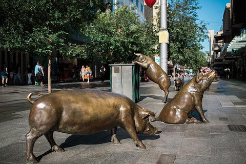 Guided Walking Tour In Adelaide - Tourism Brisbane 4