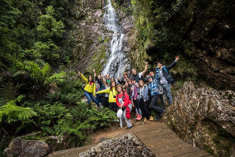 5-Day Lap Of Tasmania Tour From Hobart (flexible Ticket) - Tourism Brisbane 0