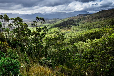 5-Day Lap Of Tasmania Tour From Hobart (flexible Ticket) - Tourism Brisbane 2
