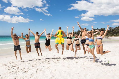 5-Day Lap Of Tasmania Tour From Hobart (flexible Ticket) - Tourism Brisbane 4