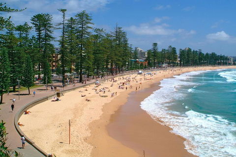 Private Sydney Full Day Tour Including Sydney Opera House, Bondi And Manly - Tourism Brisbane 3
