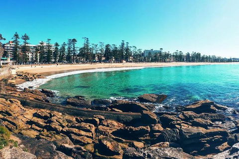 Private Sydney Full Day Tour Including Sydney Opera House, Bondi And Manly - Tourism Brisbane 5